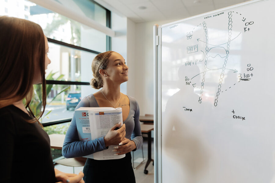 Two students study a diagram on a whiteboard.