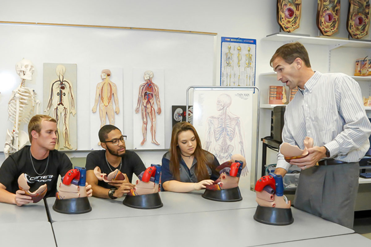 Students from the exercise science concentration in pre-physical therapy participate in a lecture.