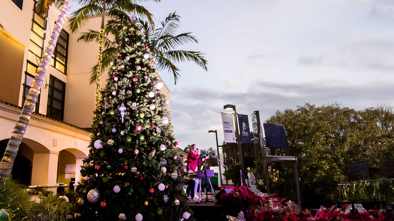 Christmas Tree Lighting