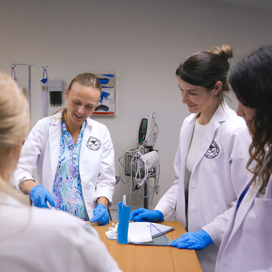 Grad Nursing Students Working