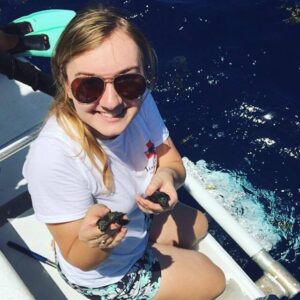 Hannah Deadman-Arnst, PBA alum, helps release sea turtle hatchlings while working at Loggerhead Marinelife Center. Photo obtained under FWC Marine Turtle Permit.