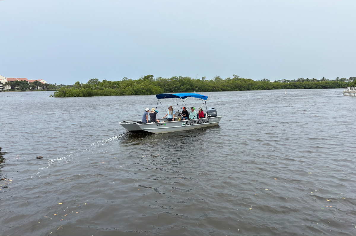 Seagrass Restoration Project